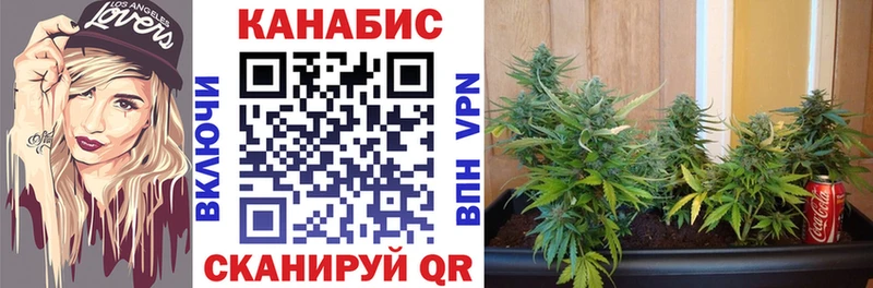 Наркошоп купить ГАШ  A PVP  Кокаин  МЕФ  МАРИХУАНА  Светогорск