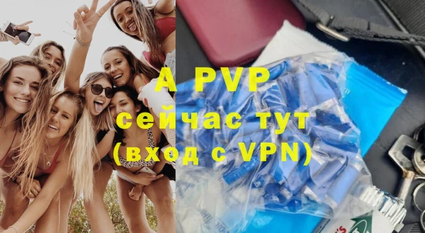 apvp Пестово