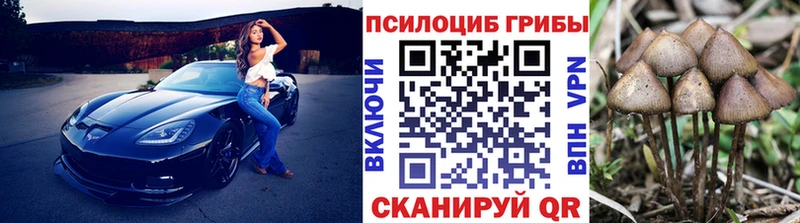 Купить Светогорск Псилоцибиновые грибы Magic Shrooms